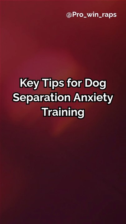 Key tips to overcome separation anxiety