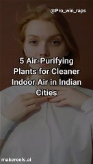 5 air purifying indoor plants