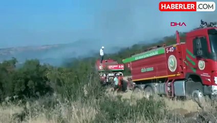 Kilis'te Orman Yangını Kontrol Altına Alındı