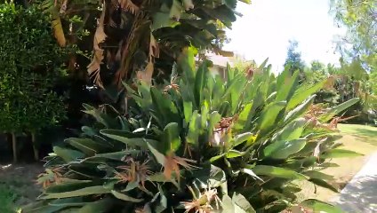 Beverly Hills California Holiday Tours