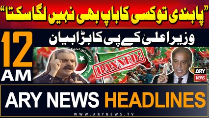 ARY News 12 AM Headlines | 17th July 2024 | Prime Time Headlines