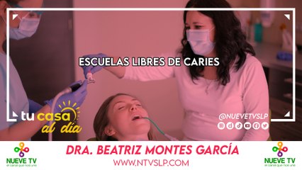 Escuelas Libres de Caries