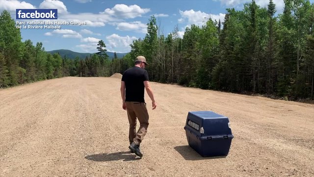 SU_Oiseau parc Haute gorges