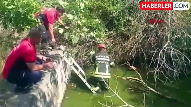 Tarsus'ta dere yatağına düşen sokak köpeği itfaiye tarafından kurtarıldı