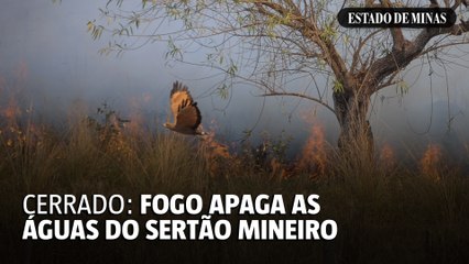 Fogo apaga as águas no cerrado mineiro