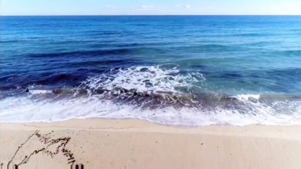 Peaceful Mind Relaxing Video 