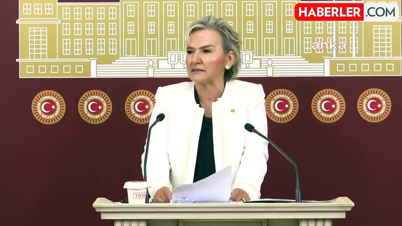 İYİ Parti Milletvekili Özdemir, sokak hayvanlarına ilişkin kanun teklifini eleştirdi