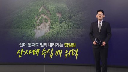 산이 통째로 미끄러지는 '땅밀림'...경주 토함산 비상 [앵커리포트] / YTN