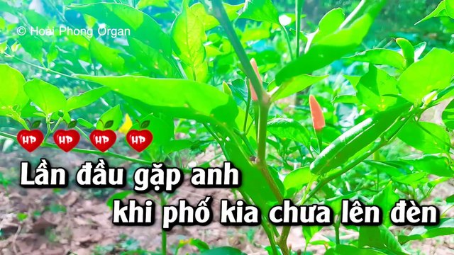 Chiều Sân Ga Karaoke Nhạc Sống Tone Nữ 2022 - Hoài Phong Organ