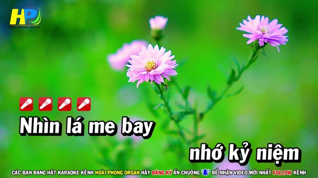Karaoke Vùng Lá Me Bay - Như Quỳnh (Beat Chuẩn) Nhạc Sống - Hoài Phong Organ