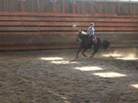 Galop 4 - Saut D'obstacle - Helen & Moi