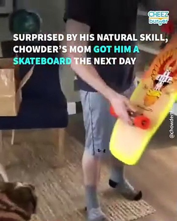 This Skateboarding Bulldog Has A Serious Need For Speed