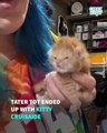 Tater Tot's Fans Mourn The Loss Of Their Favorite Rescue Kitten
