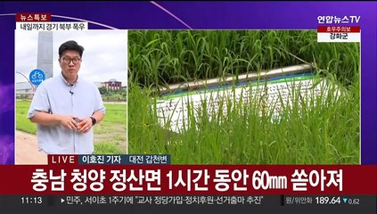 번개와 강풍 동반한 폭우…뜬눈으로 밤 지샌 충청권
