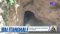 Asian palm civet o musang, nasagip matapos mahulog at ma-trap sa hukay | Balitanghali