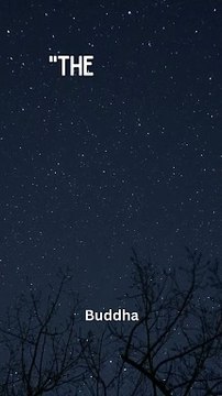 Wisdom for Wealth #FinancialWisdom #MoneyMatters #WealthJourney #SmartInvesting #FinancialFreedom #MoneyTips #WiseSpending #SaveAndGrow #InvestSmart #SuccessMindset #WealthBuilding #FinancialGoals #GrowYourMoney #MoneyManagement #SmartChoices