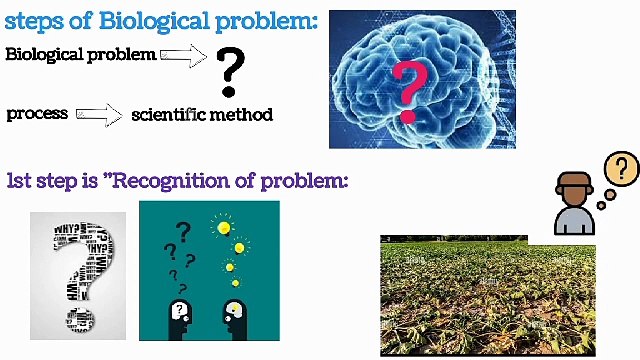 steps of biological method |solving a biological problem | chap#2 | 9th class biology | Lecture #2
