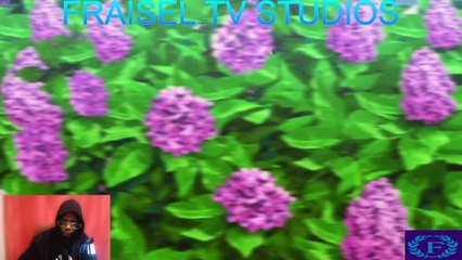 Kaifuku Jutsushi No Yarinaoshi