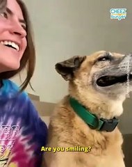 This Blind Dog Walks Vacationers To The Beach, Every Single Day