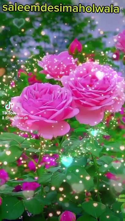 Beautiful naat Shareef | most beautiful and Sweet naat Shareef