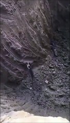 Ce chat ne lâche pas... courageux