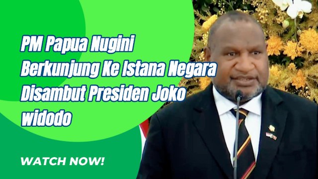 PM Papua Nugini Berkunjung Ke Indonesia Disambut Presiden Joko Widodo