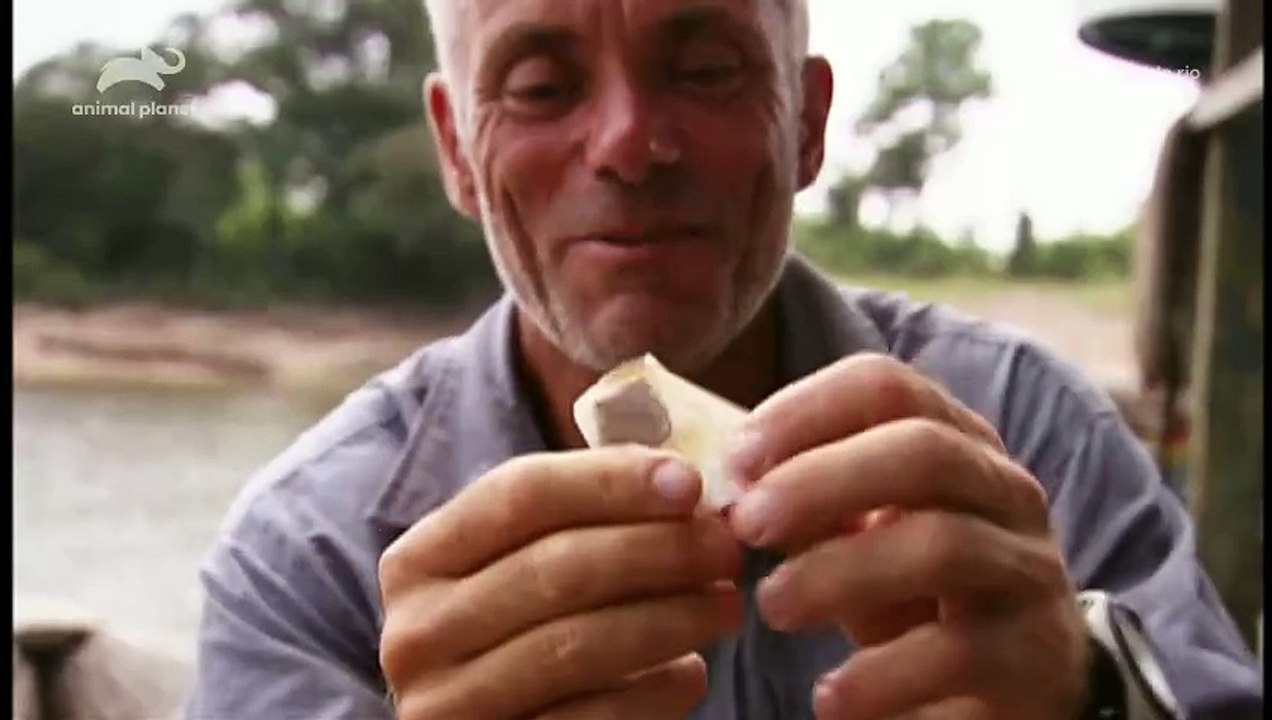 Monstros do Rio 1ª Temp. Ep. 5 - Assassinos do Amazonas