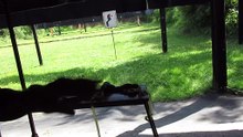 summer 2024 Czech Republic, Most, second shooting range