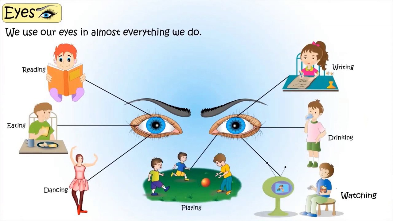 external-and-internal-parts-of-human-eye-video-dailymotion