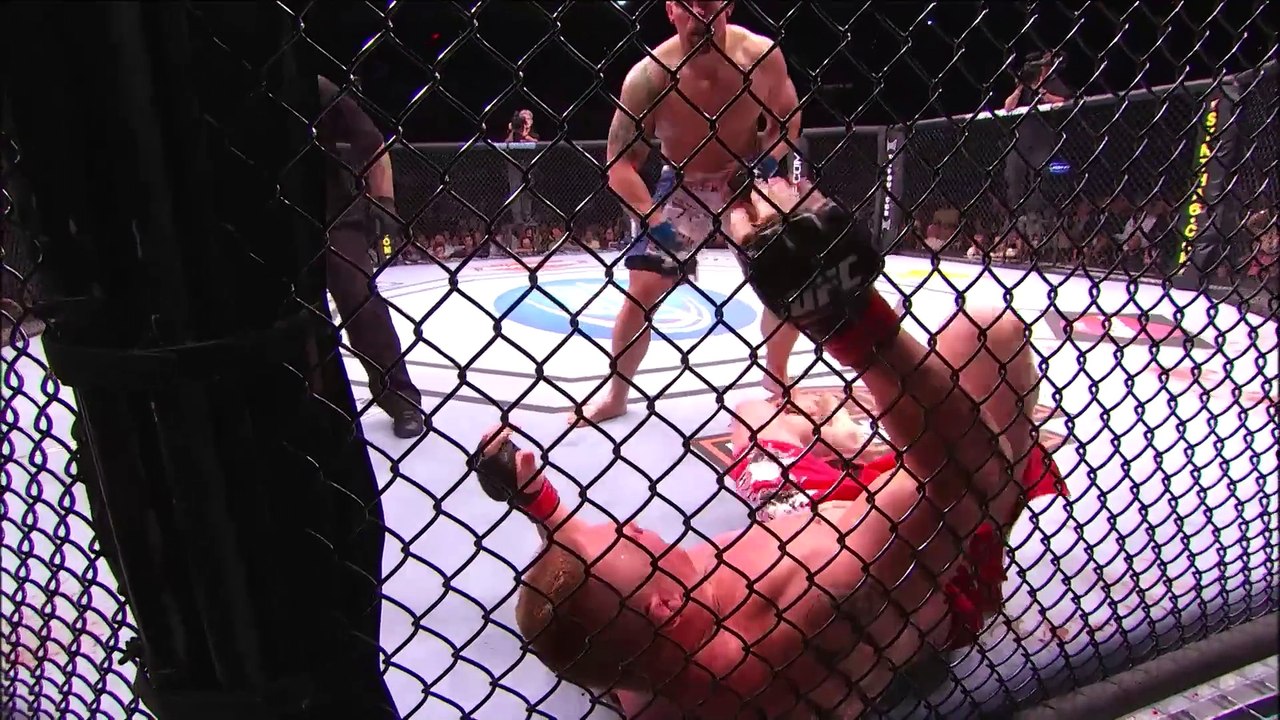 Brock Lesnar vs Shane Carwin _ FREE FIGHT