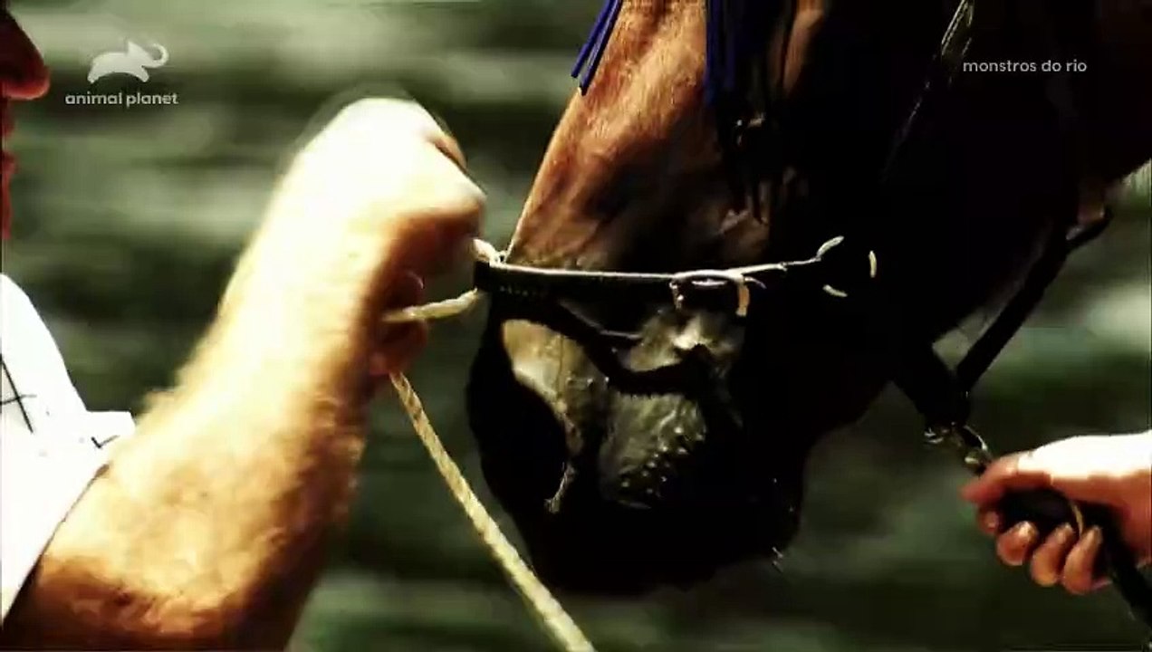 Monstros do Rio 1ª Temp. Ep. 6 - Tubarão de Água Doce