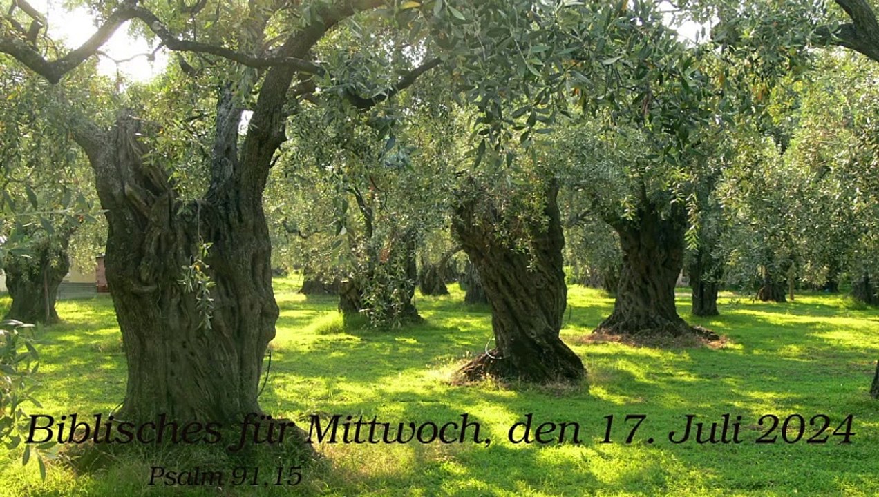 Biblisches für Mittwoch, den 17. Juli 2024 zu Psalm 91,15