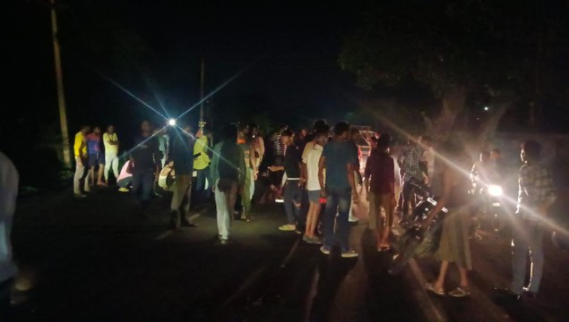 तेज रफ्तार बस चालक ने सड़क पर बैठे गोवंश को कुचला, सड़क के नीचे उतरी बस