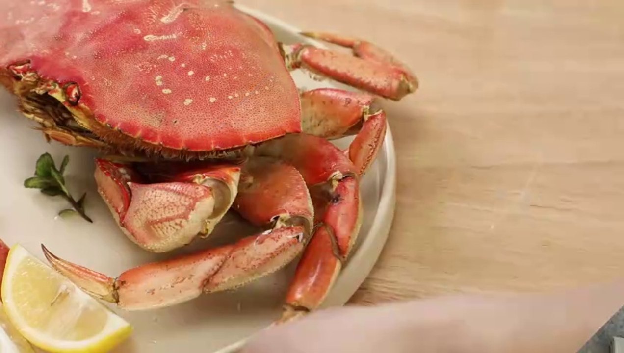  Amazing Lobster Tools | Crack Lobsters Super Easily & Effortlessly! ️✨