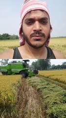 The scene of harvesting paddy with a harvester.