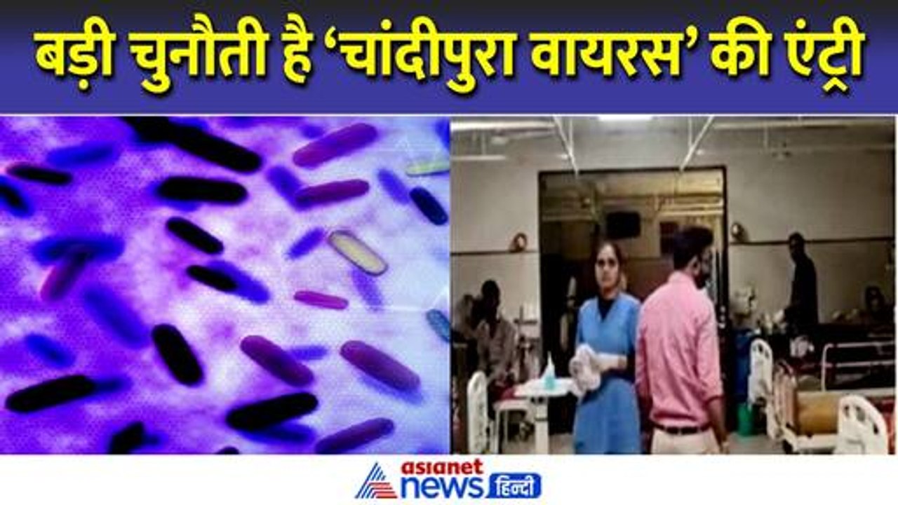 गुजरात में फैल रहे चांदीपुरा वायरस के क्या है शुरुआती लक्षण, कितना है खतरा । Chandipura Virus