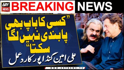 "PTI par kisi ka baap bhi pabandi nahi laga sakta," Ali Amin Gandapur's big statement