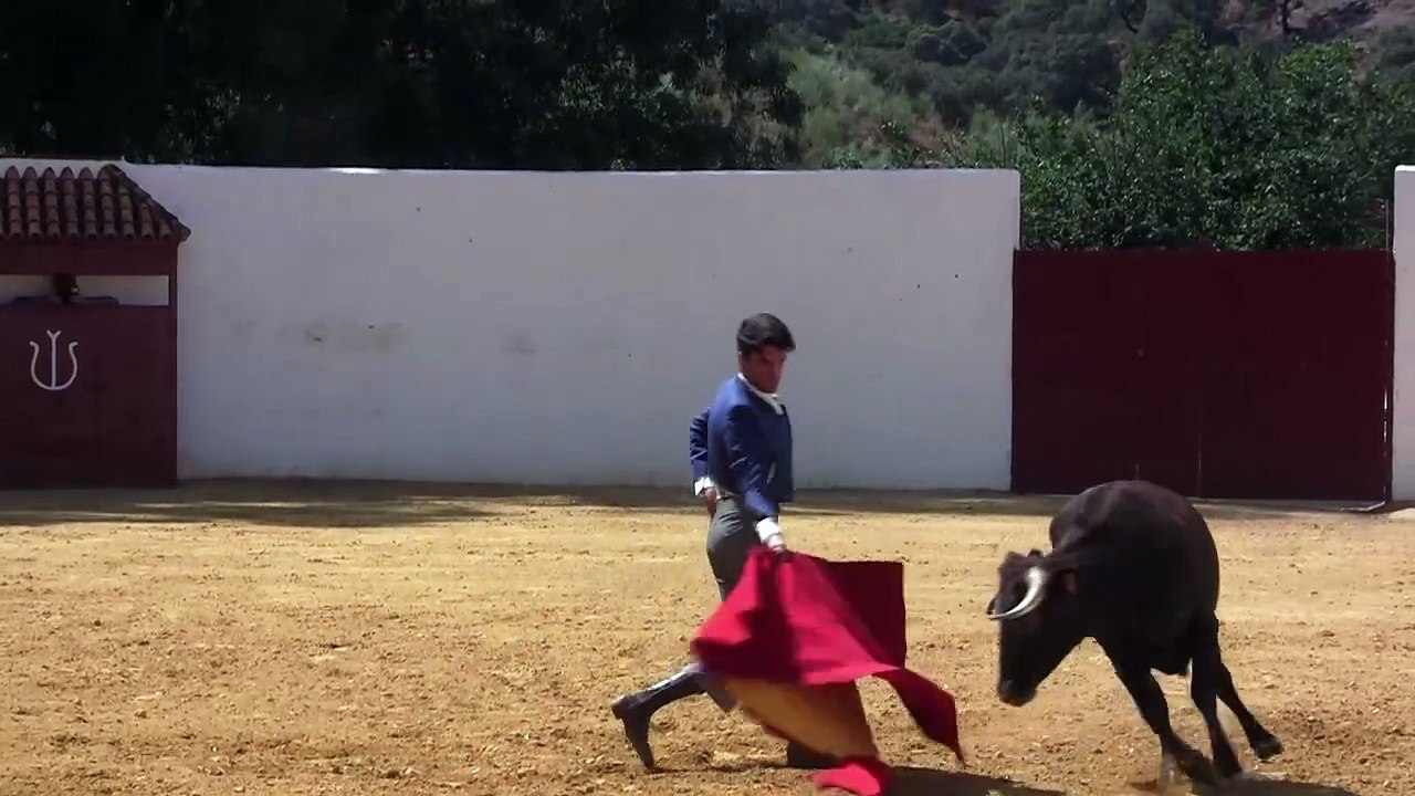 ALFONSO ALONSO TENTADERO