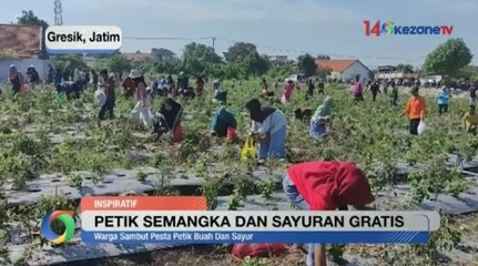Ratusan Warga Antusias Berebut Petik Buah dan Sayur Gratis di Gresik