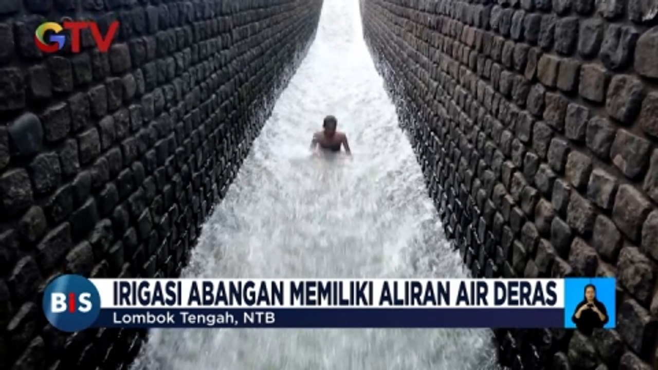 Keseruan Berseluncur di Air Irigasi Abangan, Lombok Tengah