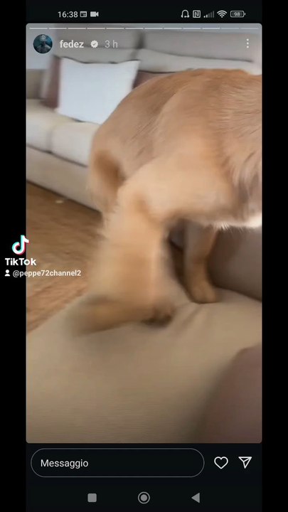 il mio silvione