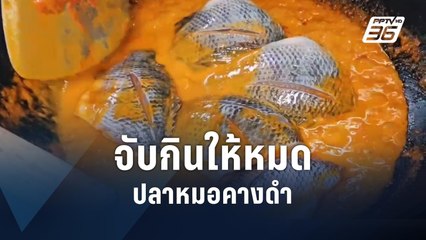 เปิดเมนู! ปลาหมอคางดำ | PPTV Online