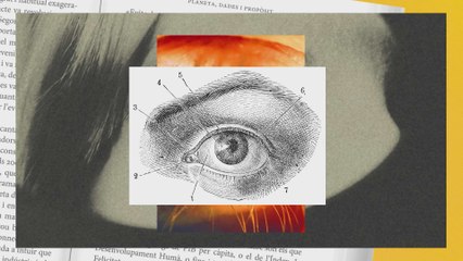 RESUM | Eva Baltasar conversa sobre 'Ocàs i fascinació' | EL CLUB DEL QUADERN