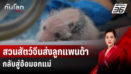 สวนสัตว์จีนส่งลูกแพนด้าน้อยกลับสู่อ้อมอกแม่ | ทันโลก DAILY | 17 ก.ค. 67