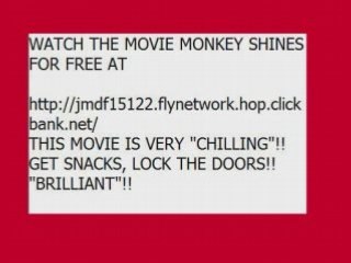 THE MONKEY SHINES