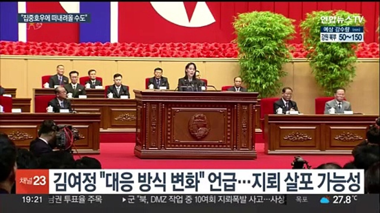 나뭇잎처럼 생겼는데 지뢰…북한, 신종 도발 가능성