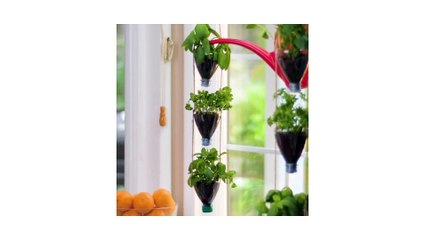 home remidy for caring of plants