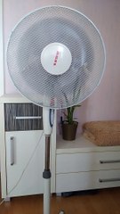 НЕМНОГО ПРОХЛАДЫ ВАМ В ЛЕНТУ ☀️️️