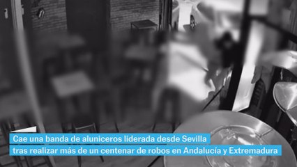 Cae la banda de aluniceros más activa del sur de España