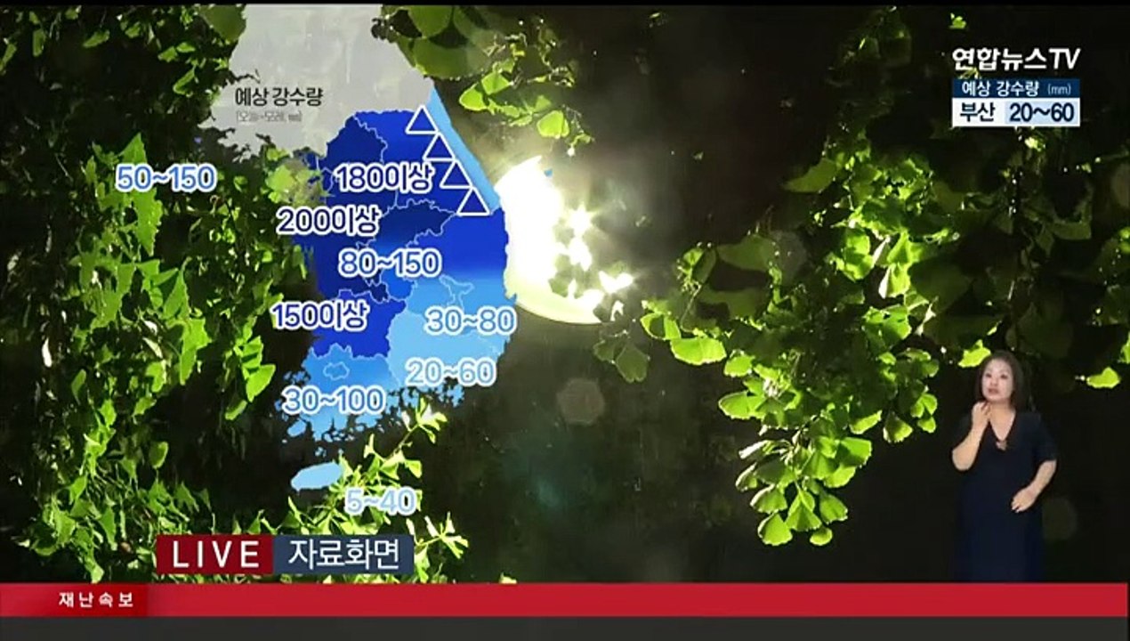 [날씨] 인천·고양·김포 '호우 경보'…밤사이 중부 곳곳 물벼락